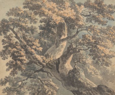 木の研究 作： Paul Sandby